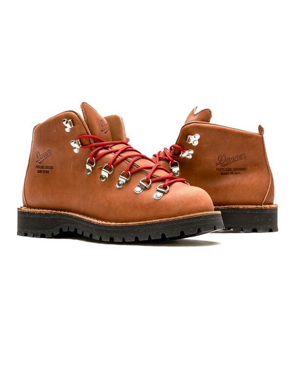 Danner Mountain Light Gore-Tex (EE) | 31528 | AFEW STORE